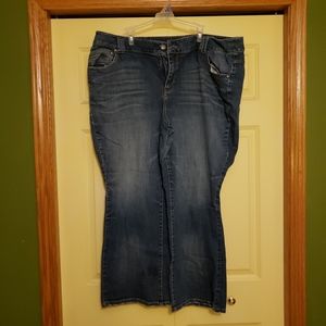 Lane Bryant Jeans